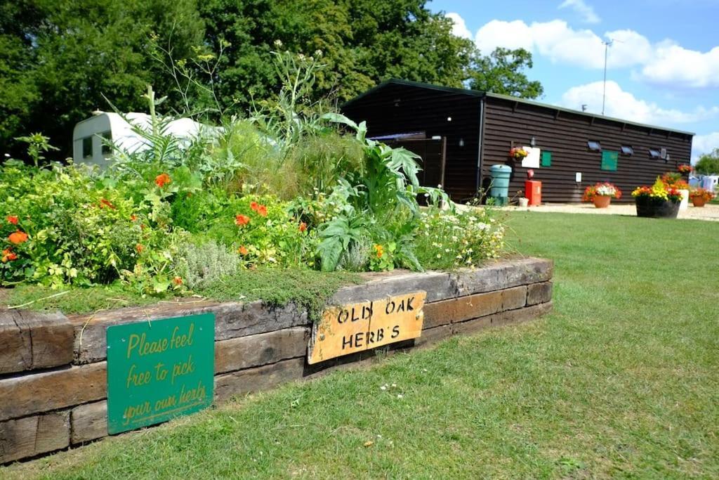 Glamping At South Lytchett Manor Hotell Poole Exteriör bild